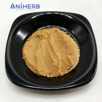 Organic Astragalus Polysaccharides Root Extract Powder