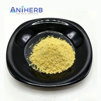High Quality Icariin Epimedium Extract Raw Material