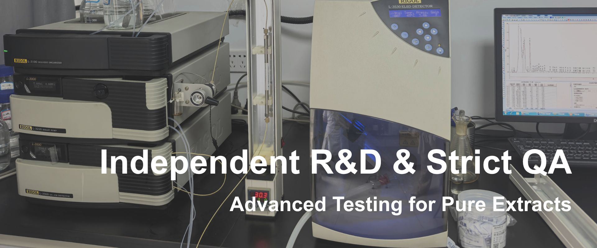 banner 2